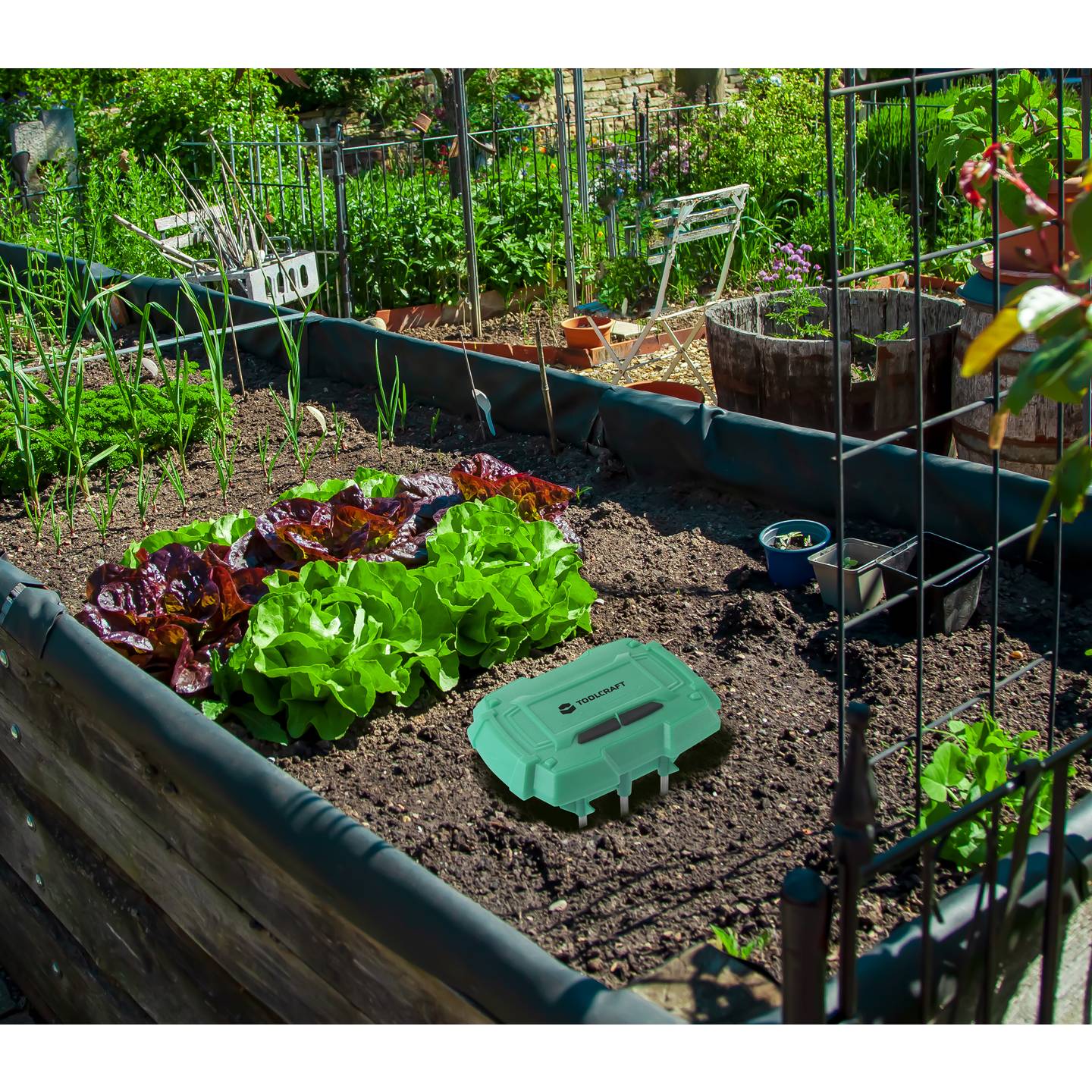 Toolcraft Bewässerungssteuerung smart Gartenbewässerung Tuya 1-719min täglich - 4064161187631