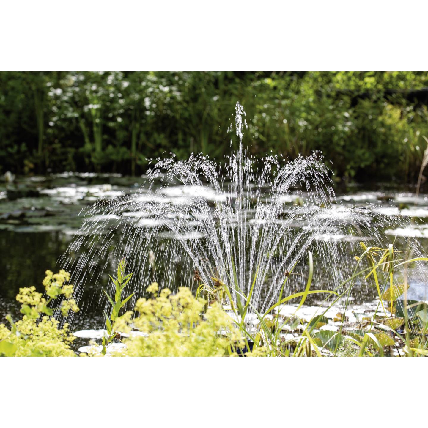 Renkforce Springbrunnenpumpe Edelstahl 1400l/h Handtuchheizkörper 1,9m 38W - 4016138938616
