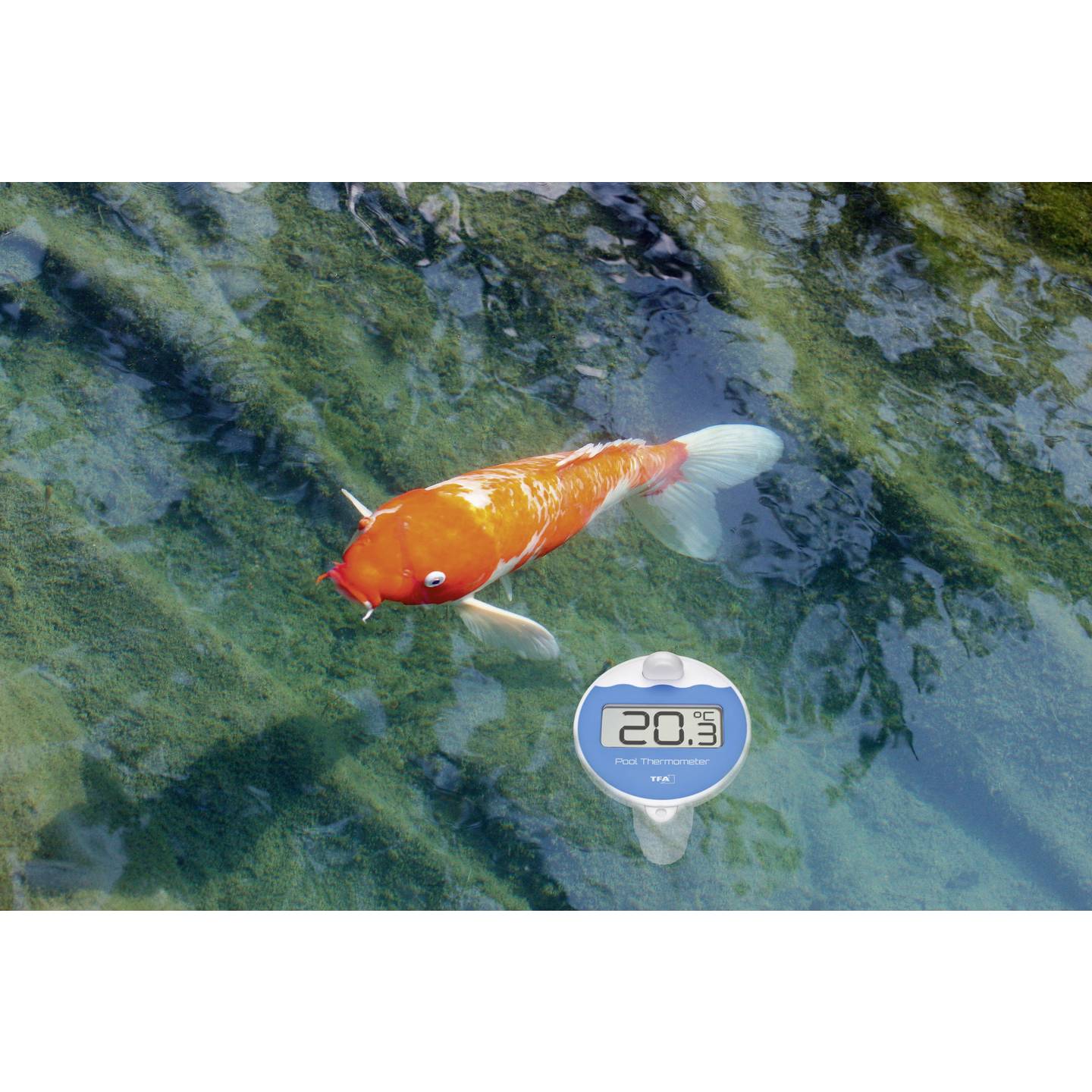 TFA Dostmann Marbella Poolthermometer Thermometer Temperaturfühler Pool Schwarz - 4009816033420