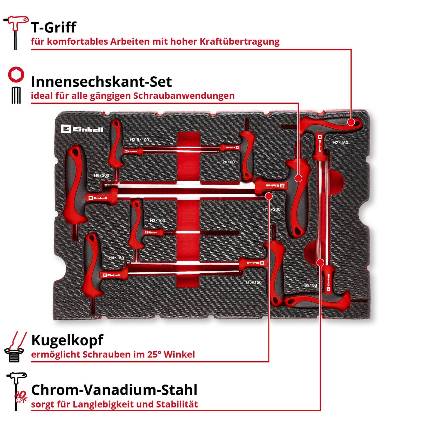 EINHELL E-Case-Einleger T-Griff-Schraubendreher 9-teilig 370526 Werkzeug Set - 4009313705264