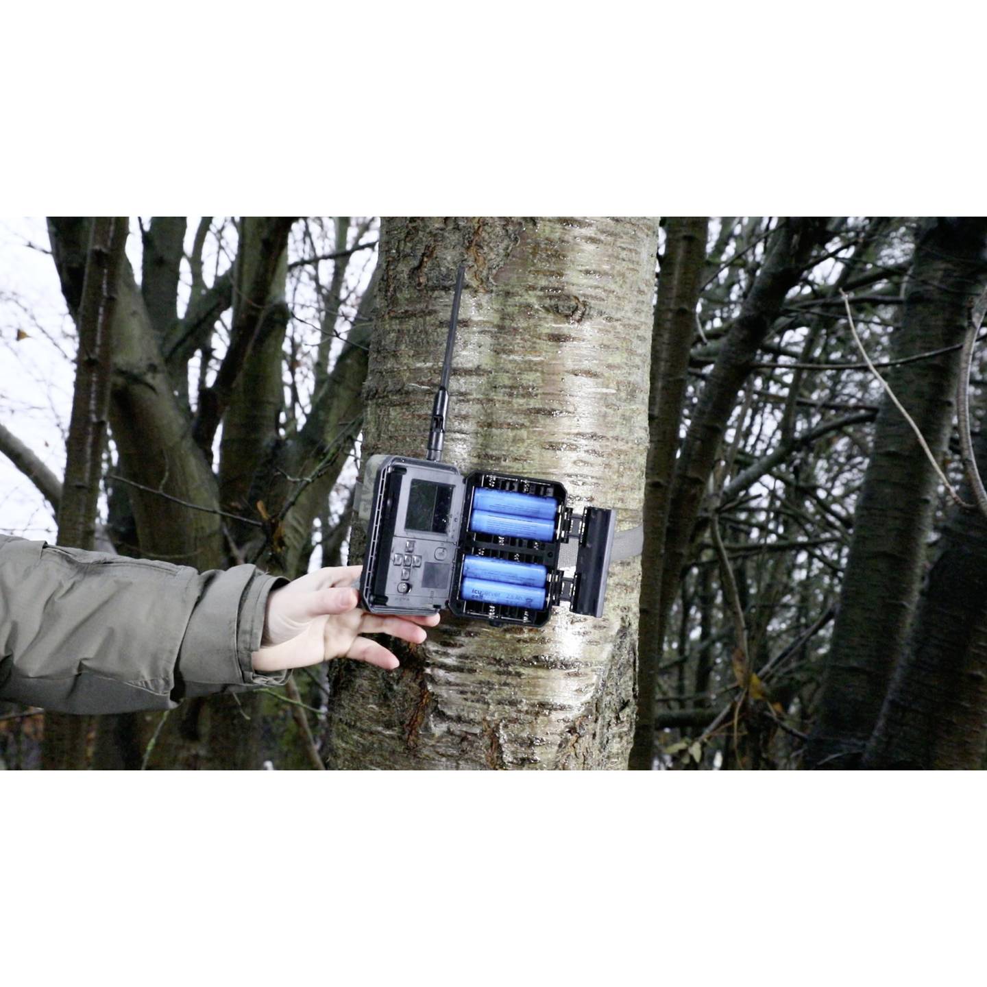 ICU CLOM Cam-S Wildkamera 12 MP mit Nachtsicht und 16 GB SD-Karte - 9120076881097