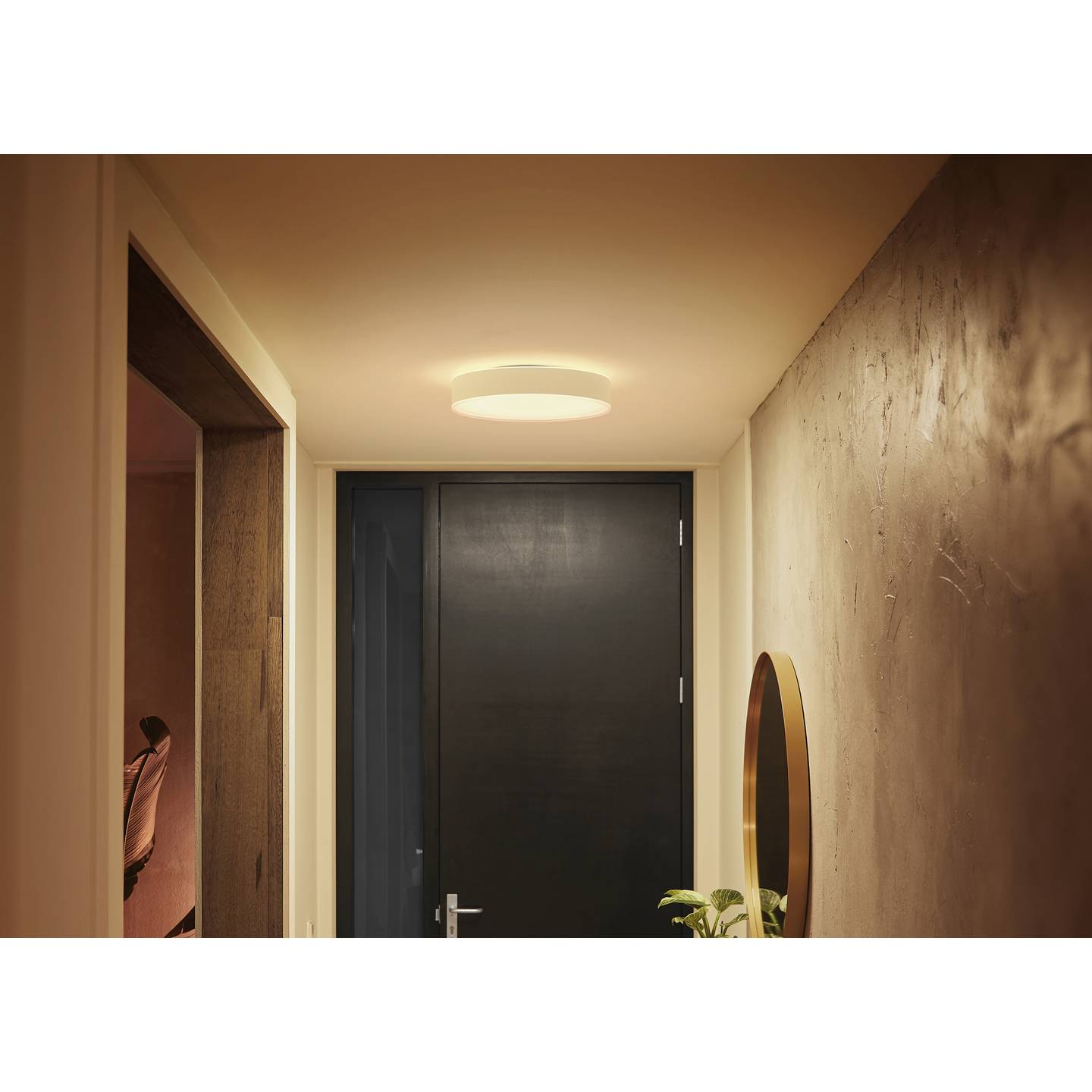Philips Hue Deckenleuchte White Ambiance Enrave M LED Lampe dimmbar 2400lm weiß - 8718696176436