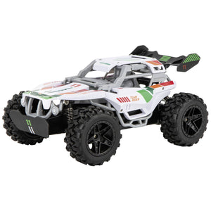 B-Ware Carrera RC Auto Modellauto Elektro Buggy Team Rider RTR Controller Batterien