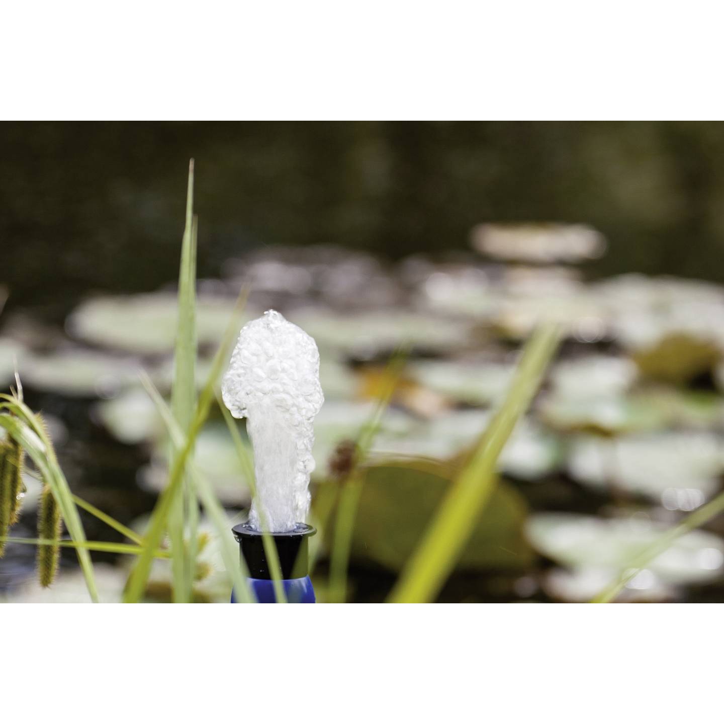 Renkforce Springbrunnenpumpe Edelstahl 1400l/h Handtuchheizkörper 1,9m 38W - 4016138938616