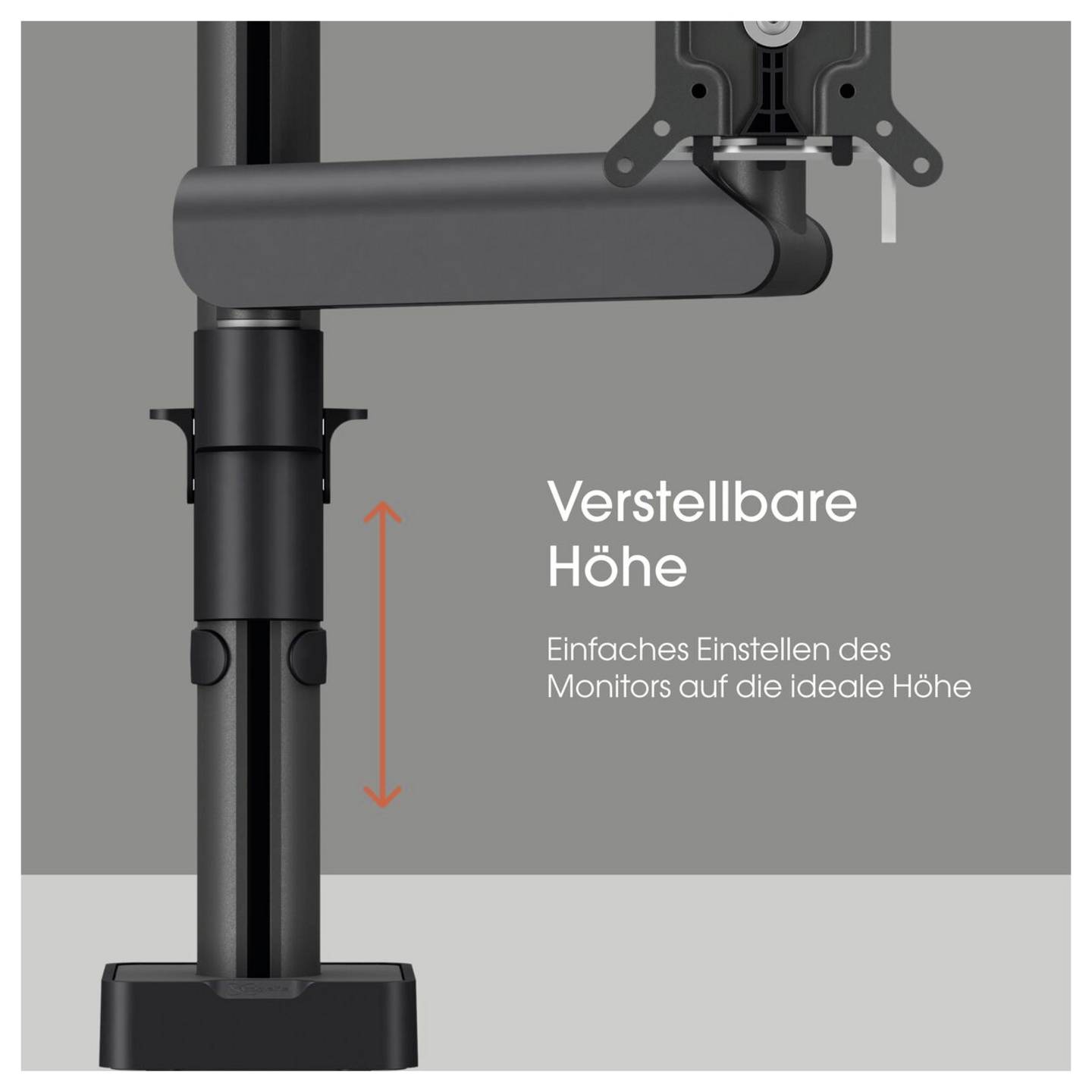 Vogel's Monitor-Tischhalterung MOMO 2117 neigbar drehbar schwarz 25,4-109,2cm - 8712285353741