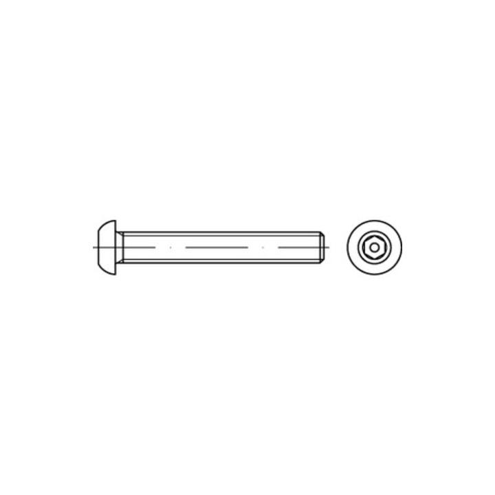 Iso 7380 Diebstahlhemmende Flachkopfschraube Vg M8x25 Edelstahl A2 Blank 100 St. B-Ware - 4051427099210