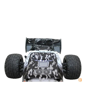 Descriptive image text