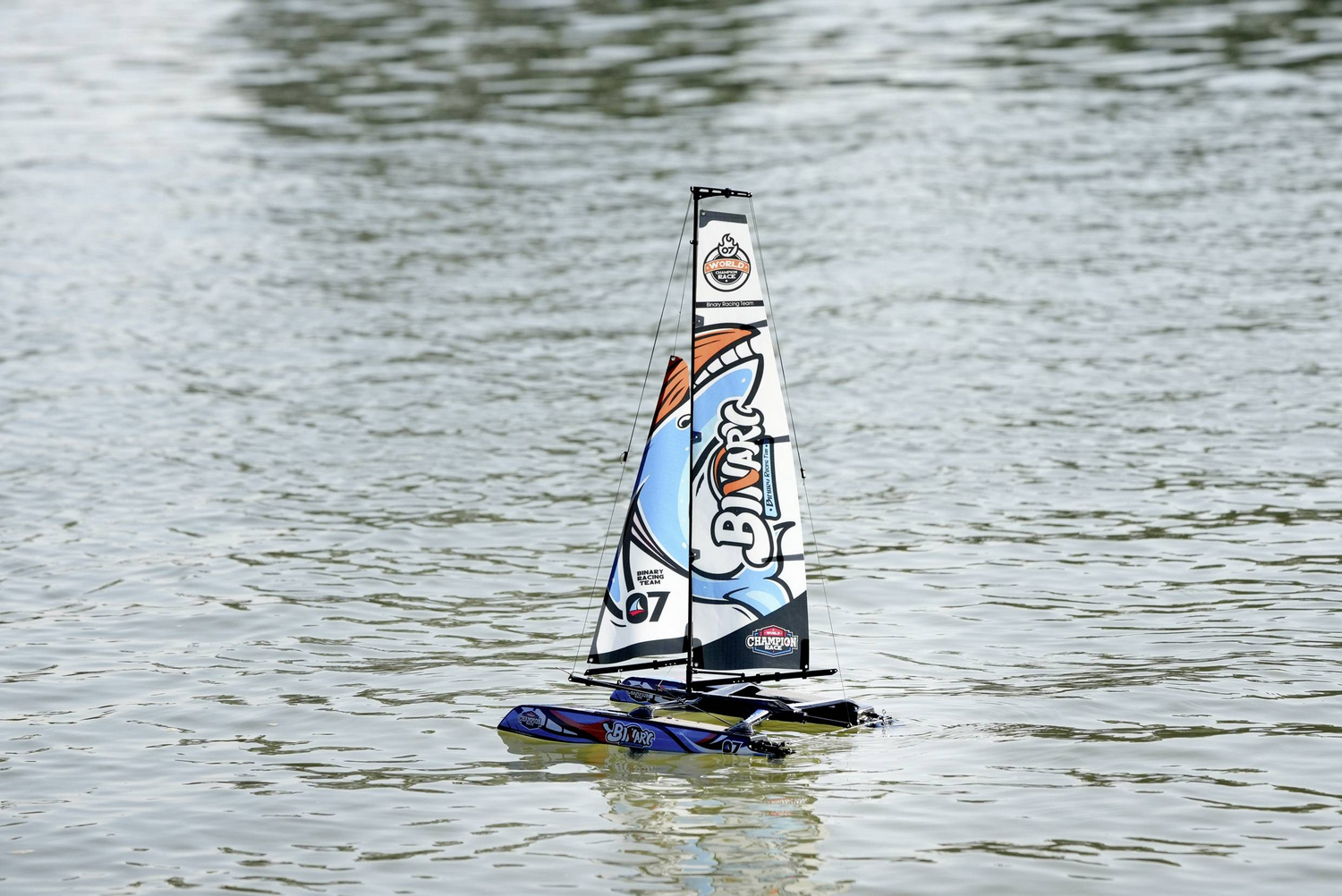 D-Ware Joysway Binary V3 Rc Rt R Segelboot Boot Modellboot Segel Boot Defektware - 4064161311807