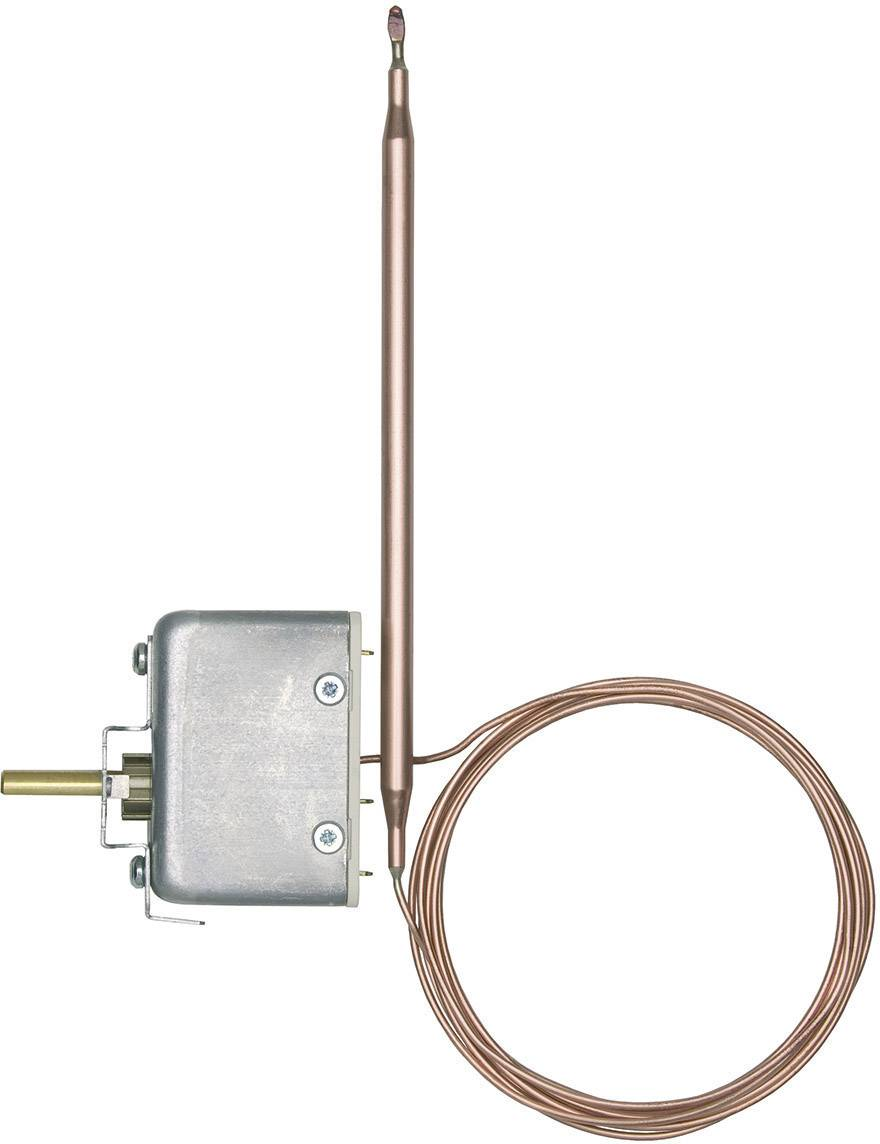 Jumo Em Temperaturregler Thermostat 0 100°C Fernleitung 1000mm Temperaturwächter B-Ware - 4053877007241