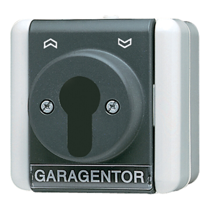 Jung Schlüsselschalter Schalter 16 Ax 250 V Profilzylinder 1 Pol. 806.18 W B-Ware - 4011377660601