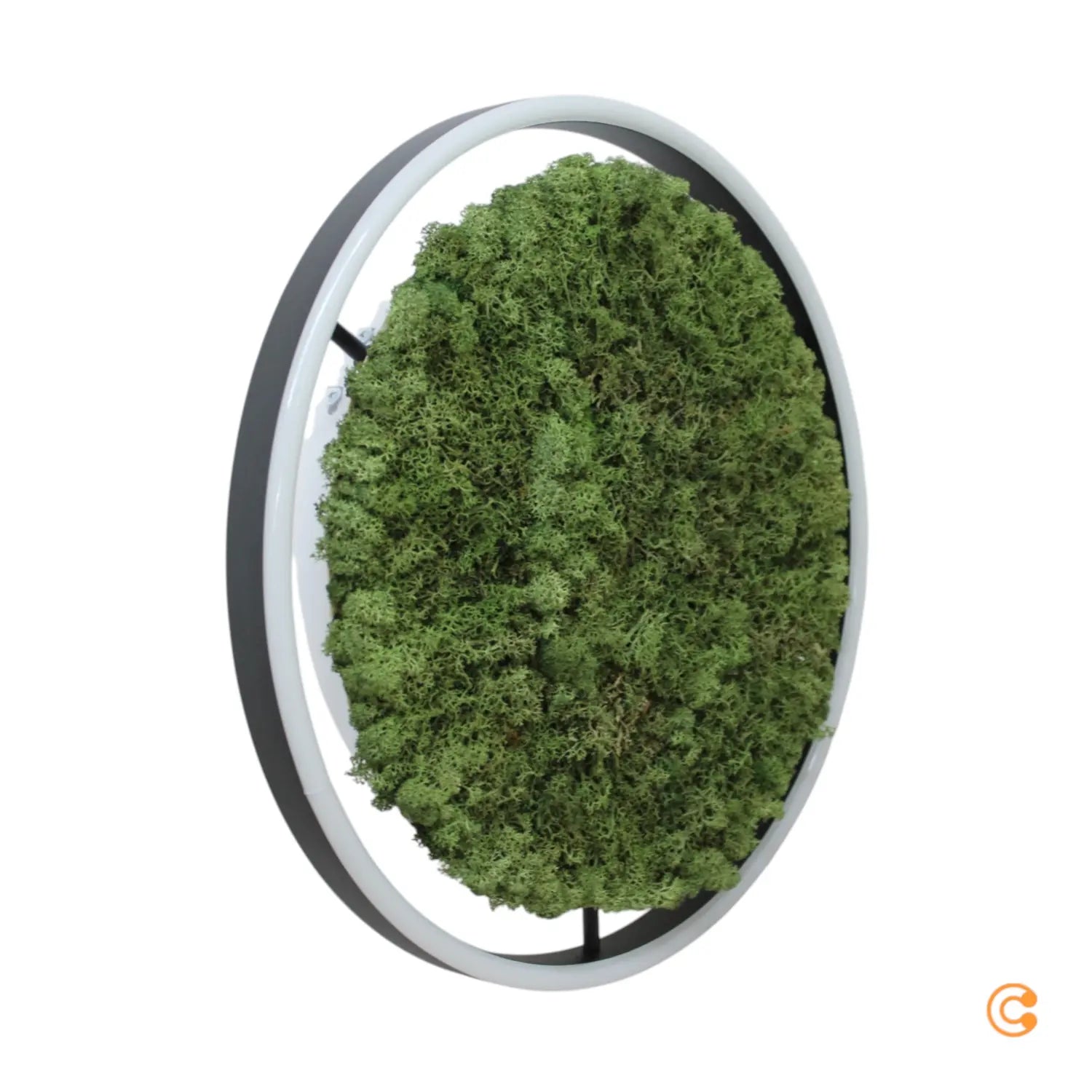 B-Ware Just Light Deckenleuchte Deckenlampe Led Moos Schwarz Dimmbar Ritus Green 39 Cm - 4043689994792