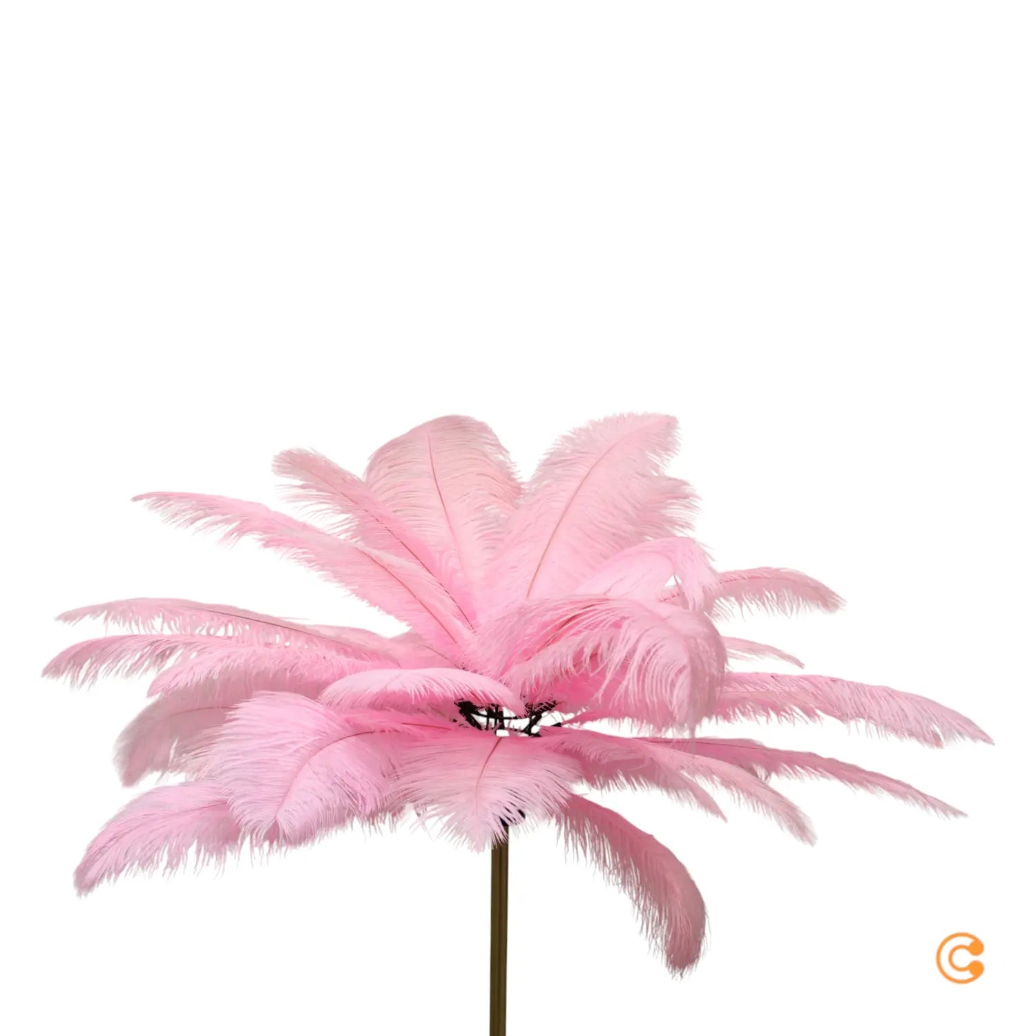 B-Ware Kare Feather Palm Stehleuchte Stehlampe Standleuchte Leselampe Leuchte Lampe - 10014572