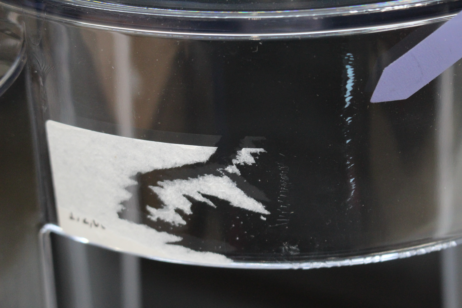 B-Ware Kartell Charles Hocker Stuhl Loungehocker Sitz H 46 Cm Transparent Designhocker  - 8034105780354