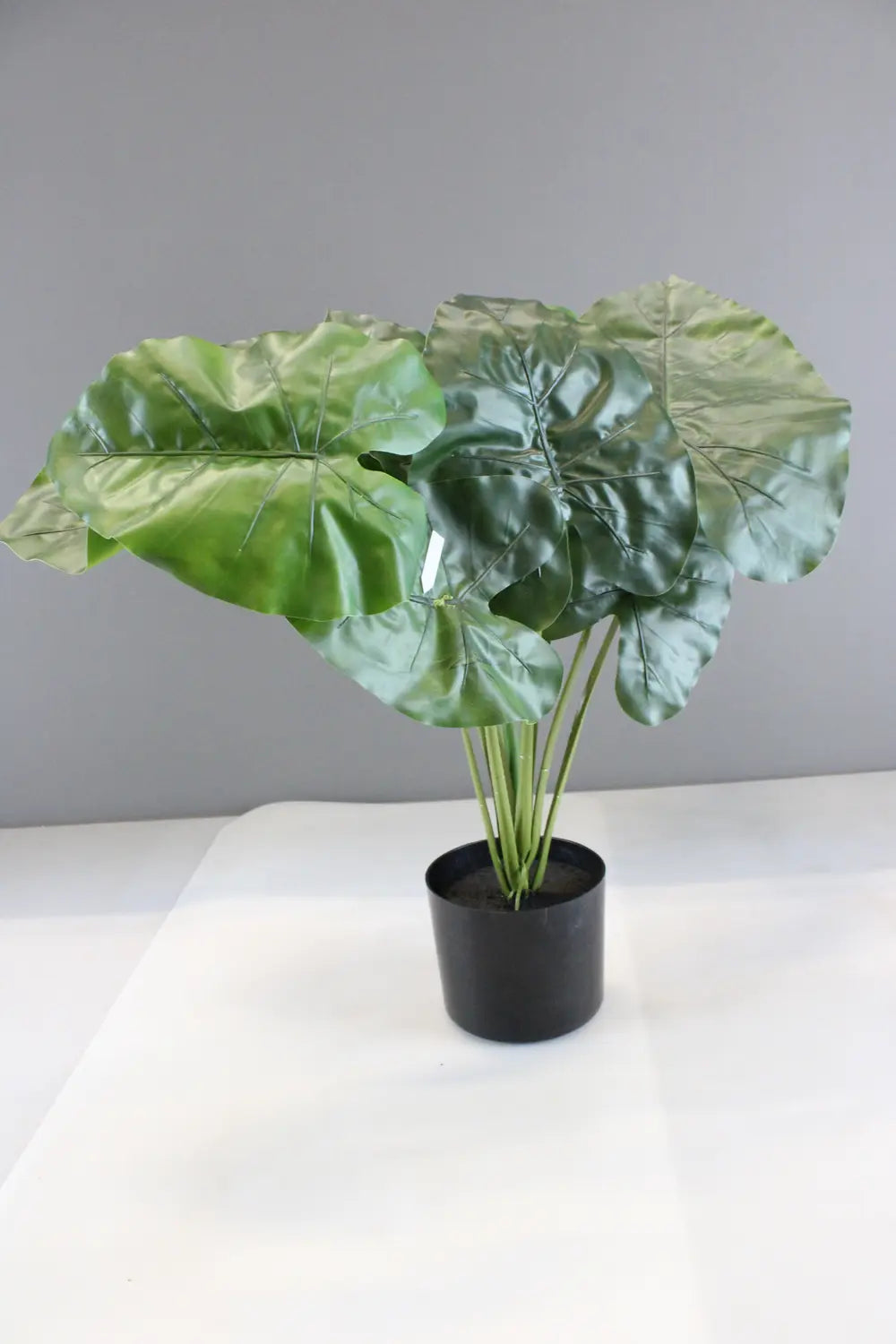 B-Ware Kave Home Kunstpflanze Dekopflanze Alocasia Kunststofftopf Siehe Text/Foto - 8433840686974