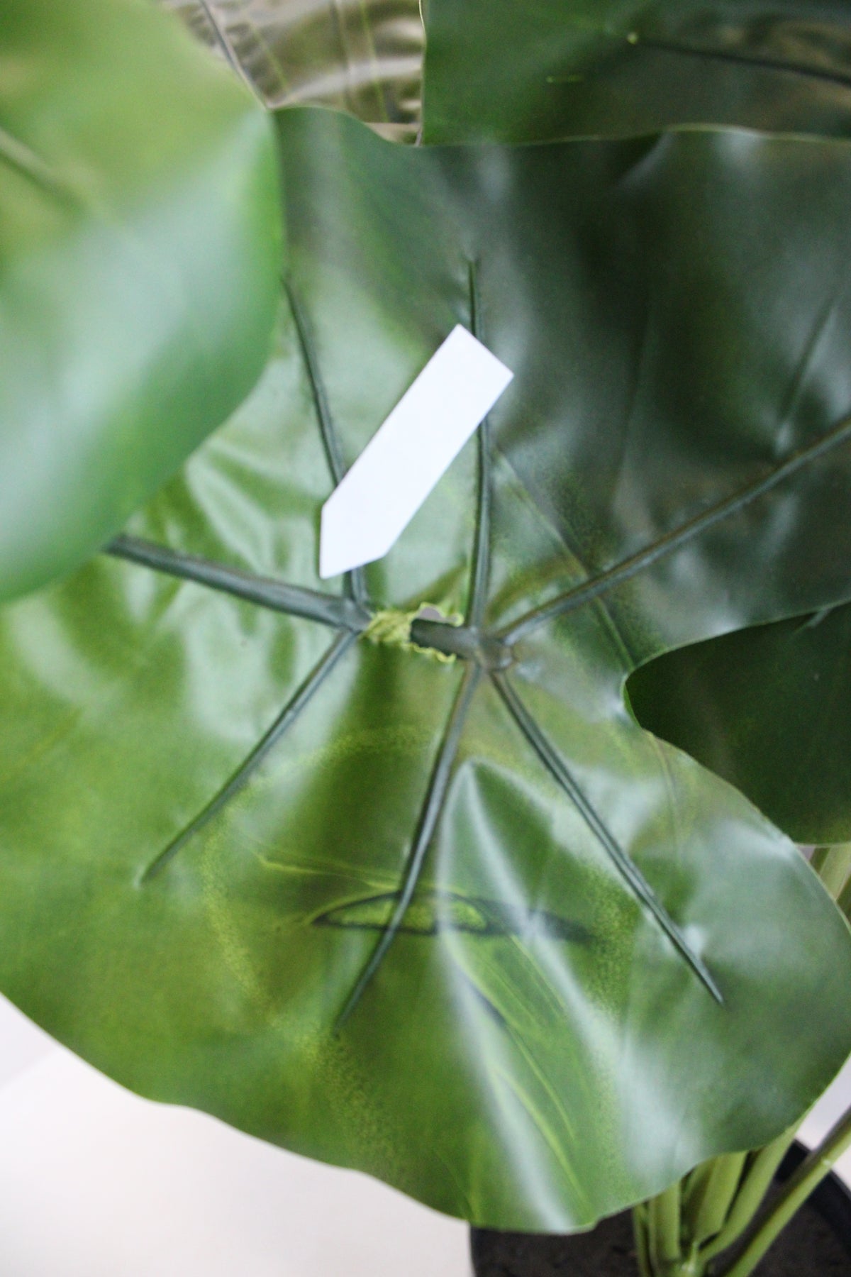 Kave Home Kunstpflanze Dekopflanze Alocasia Kunststofftopf SIEHE TEXT/FOTO - 8433840686974
