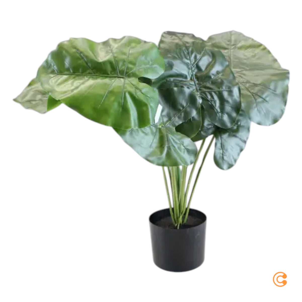 Kave Home Kunstpflanze Dekopflanze Alocasia Kunststofftopf SIEHE TEXT/FOTO - 8433840686974