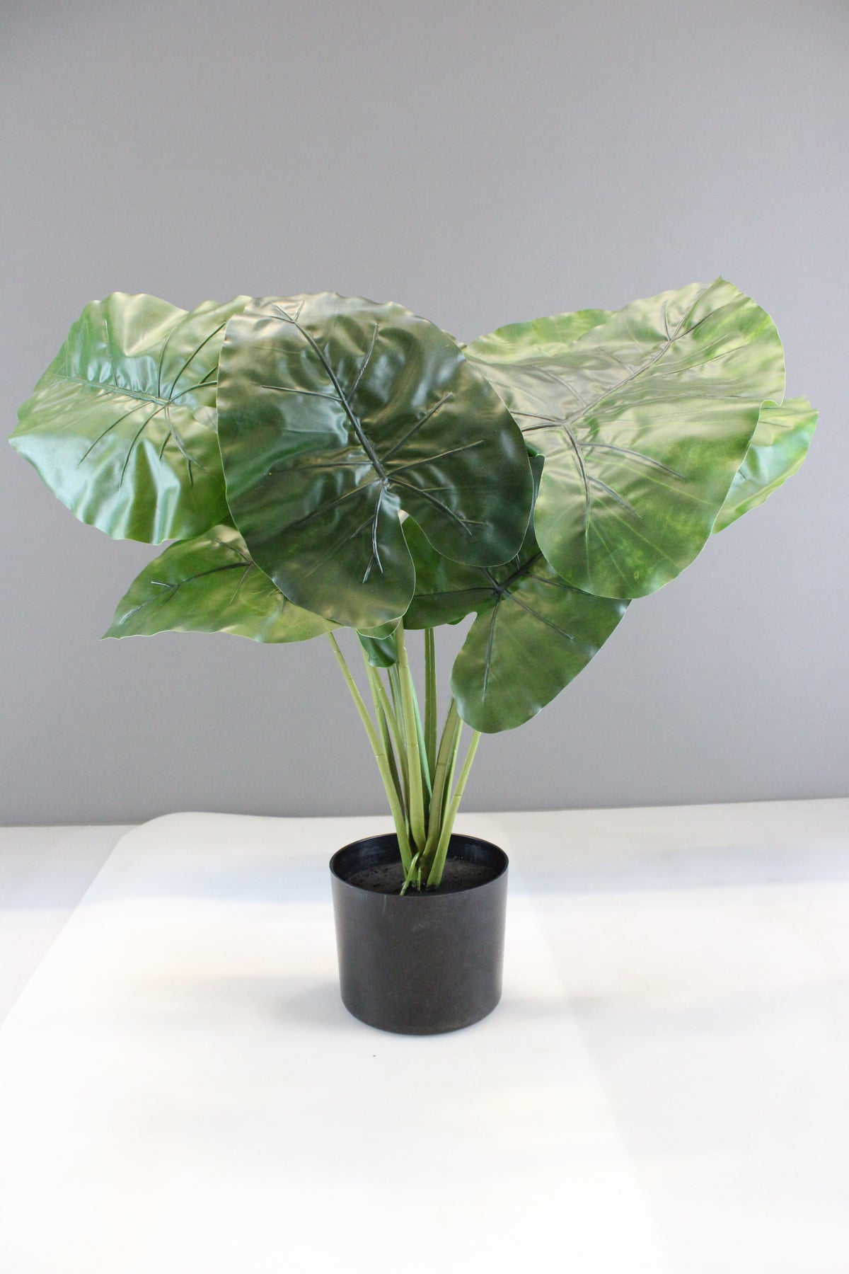 Kave Home Kunstpflanze Dekopflanze Alocasia Kunststofftopf SIEHE TEXT/FOTO - 8433840686974