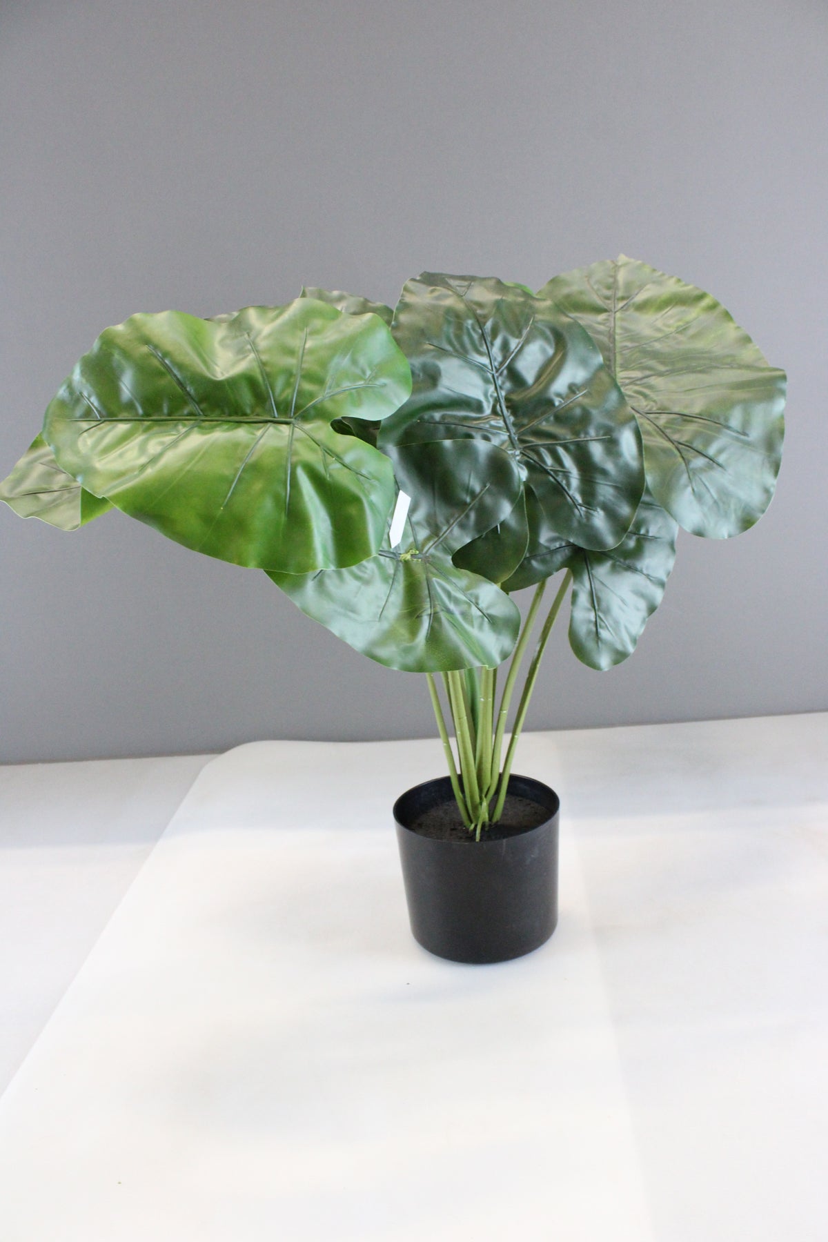 Kave Home Kunstpflanze Dekopflanze Alocasia Kunststofftopf SIEHE TEXT/FOTO - 8433840686974