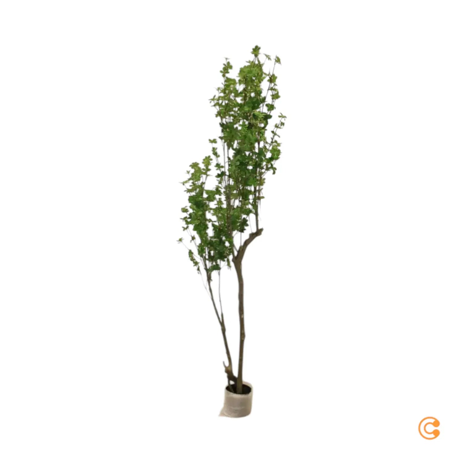 B-Ware Kave Home Kunstbaum Kunstpflanze Enkianthus Schwarzer 214 Cm Siehe Text/Foto - 8433840856902