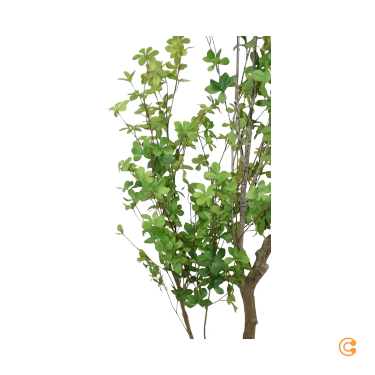 B-Ware Kave Home Kunstbaum Kunstpflanze Enkianthus Schwarzer 214 Cm Siehe Text/Foto - 8433840856902