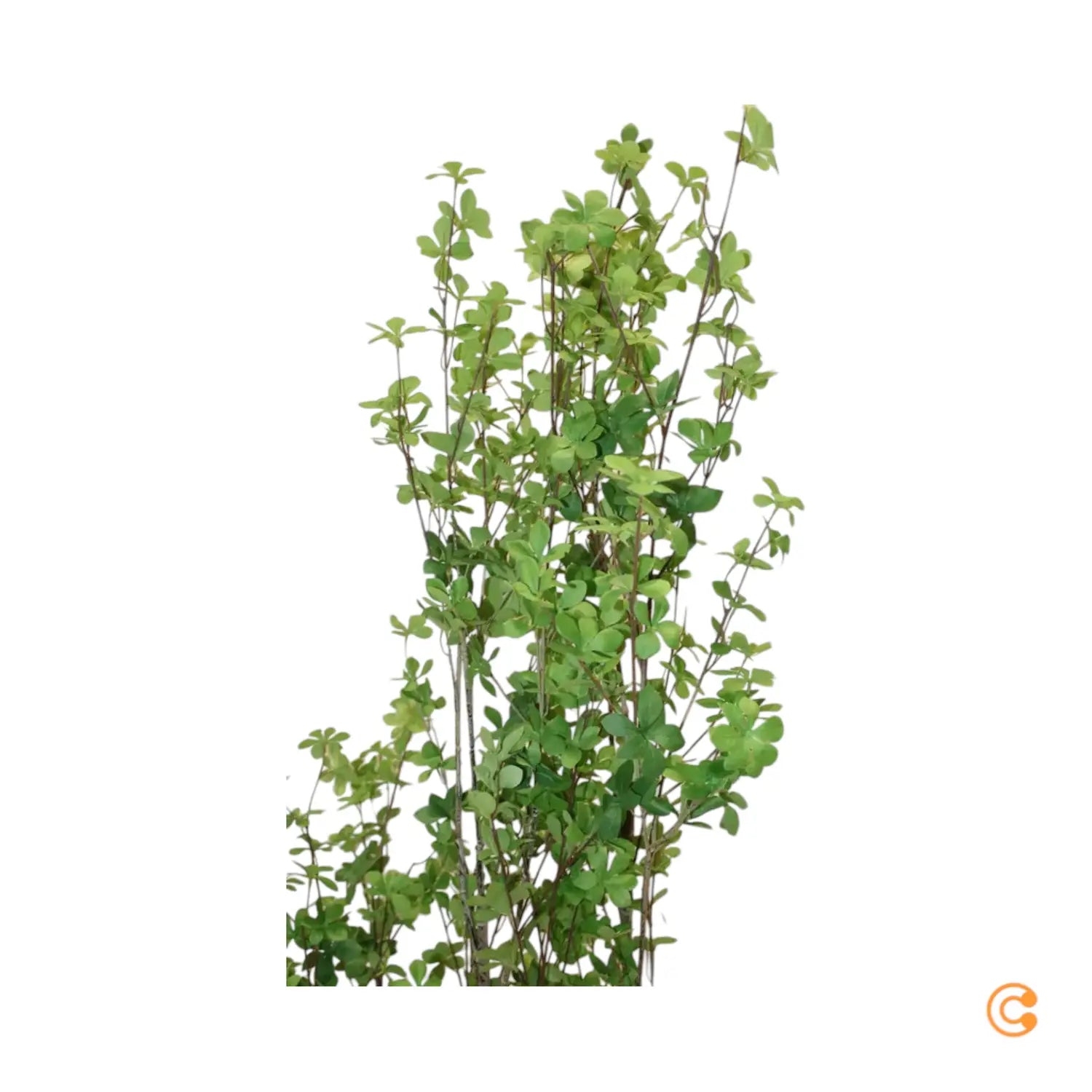 B-Ware Kave Home Kunstbaum Kunstpflanze Enkianthus Schwarzer 214 Cm Siehe Text/Foto - 8433840856902