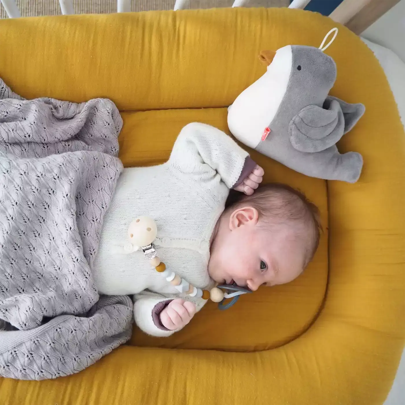 B-Ware Kikadu Spieluhr Musikdose Vogel Einschlafhilfe Kinderzimmer Aufhänger Brahms - 4260639818117