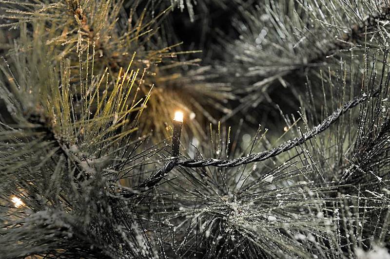 B-Ware Konstsmide 3645 800 Micro Lichterkette 500 Bernstein Beleuchtete Länge: 34.93 M - 7318303645808