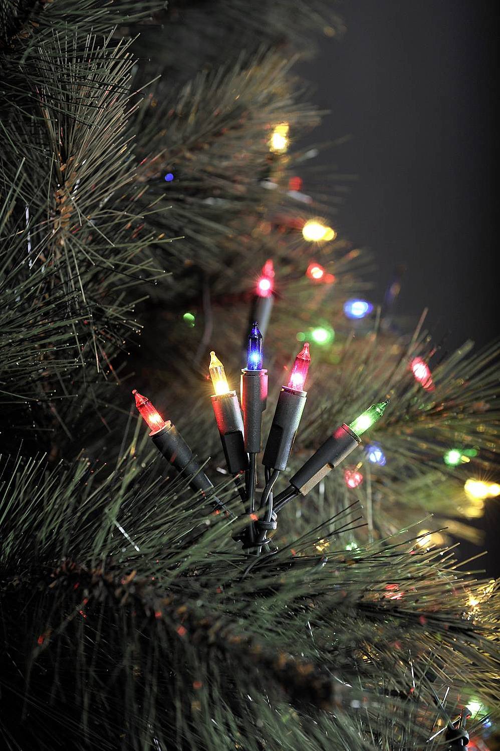 B-Ware Konstsmide 6303 500 Mini Lichterkette Innen Netzbetrieben 50 Led Bunt Kabel Grün - 7318306303507