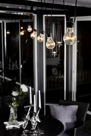 Descriptive image text