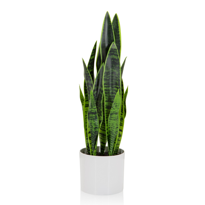 Hjh Office Kunstpflanze Kunstbaum Sansevieria Bogenhanf 65 Cm Kunststoff Grün B-Ware - 4064323028314