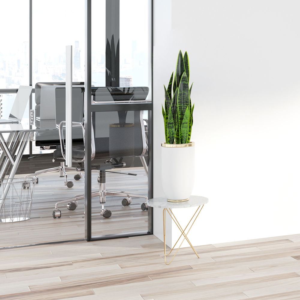 Hjh Office Kunstpflanze Kunstbaum Sansevieria Bogenhanf 65 Cm Kunststoff Grün B-Ware - 4064323028314