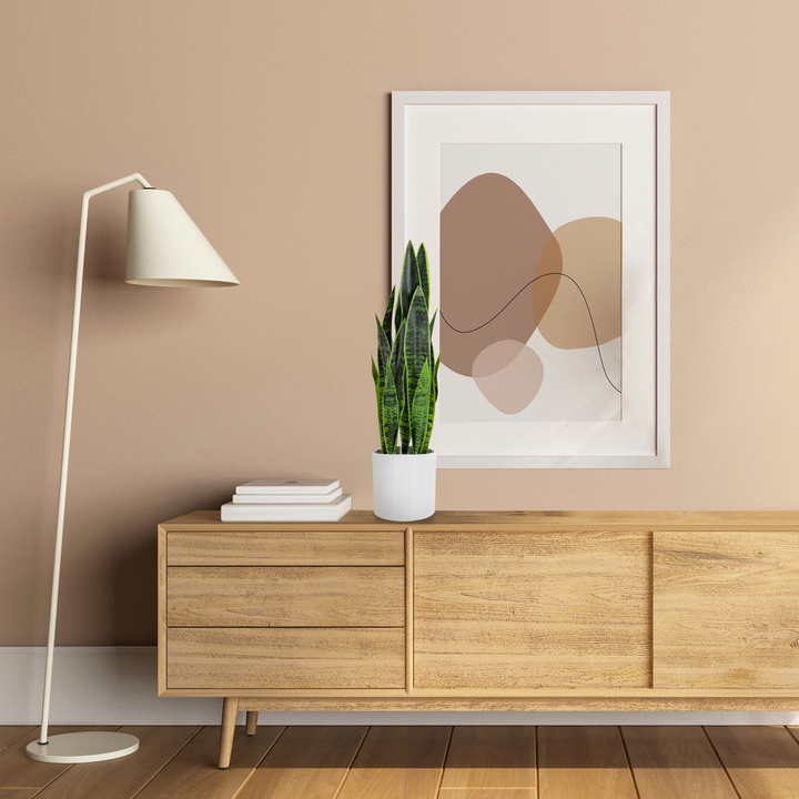 Hjh Office Kunstpflanze Kunstbaum Sansevieria Bogenhanf 65 Cm Kunststoff Grün B-Ware - 4064323028314