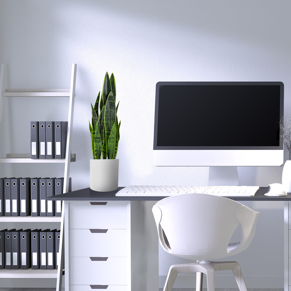 Hjh Office Kunstpflanze Kunstbaum Sansevieria Bogenhanf 65 Cm Kunststoff Grün B-Ware - 4064323028314