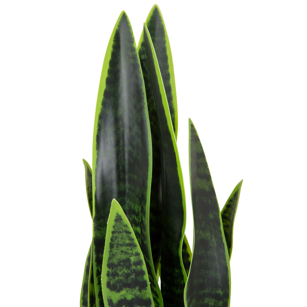Hjh Office Kunstpflanze Kunstbaum Sansevieria Bogenhanf 65 Cm Kunststoff Grün B-Ware - 4064323028314