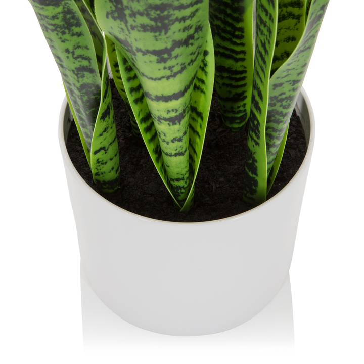 Hjh Office Kunstpflanze Kunstbaum Sansevieria Bogenhanf 65 Cm Kunststoff Grün B-Ware - 4064323028314