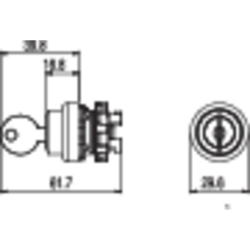 Pizzato E21SC2DVA19AA Schlüsselschalter Schwarz 1 x 90 ° Schalter Betätiger - 8018851199660