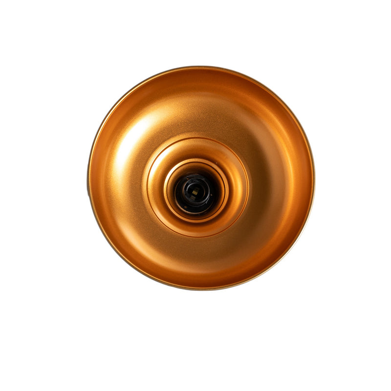 Hängeleuchte Berceste 225-S LED Pendelleuchte Lampe dimmbar gold Ø32cm - 8681875546941