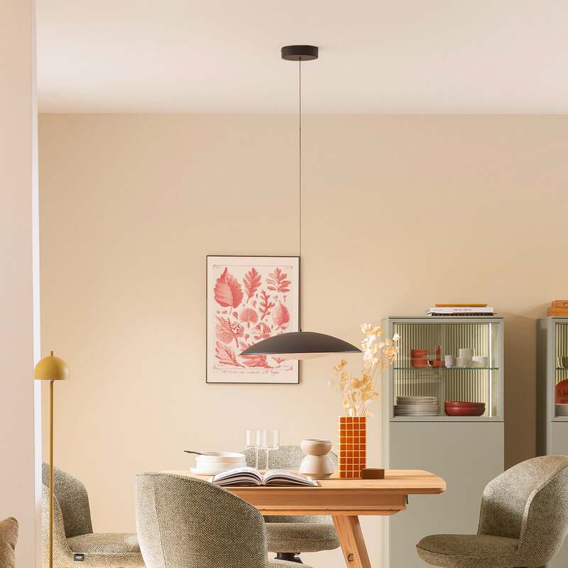 SCHÖNER WOHNEN-Kollektion Hängeleuchte LENTE LED Pendelleuchte dimmbar schwarz - 4043689017965