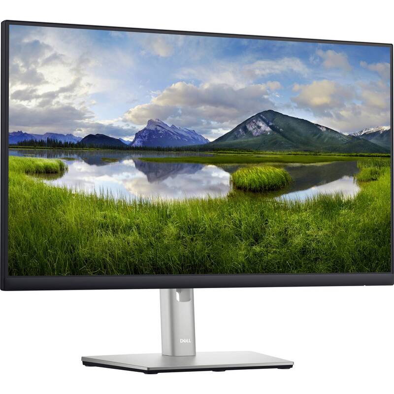 Dell P2422H LED Bildschirm Monitor Display 23.8" EEC C 1920x1080 Full HD - 5397184505175