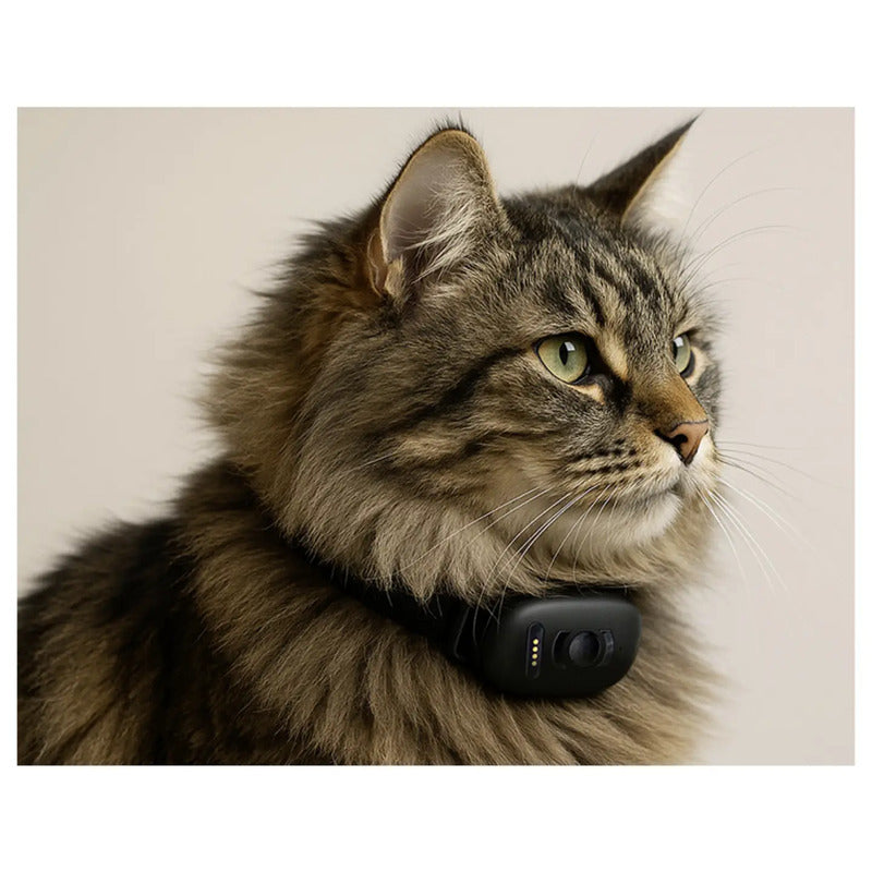 MiniFinder GPS Tracker Haustiertracker Ortungsgerät Atto Pro Live Tracking - 7350090728036