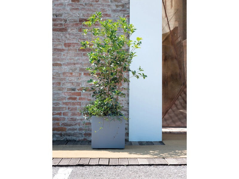 Deroma Pflanztopf Quadro Millenium 39x39cm Aschgrau Garten Pflanzgefäß robust - 0191942105486