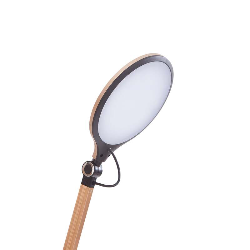 Lindby Tischleuchte Lampe Nyxaris LED dimmbar CCT gold 50cm Schreibtischlampe - 4251911775617