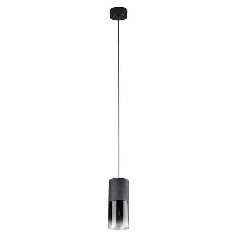 Trio Leuchten Deckenlampe Robin LED Pendelleuchte Hängelampe schwarz matt 150cm - 4017807427264
