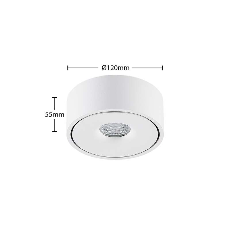 Arcchio Ranka LED-Deckenlampe Deckenlampe Leuchte Lampe Spot up und down - 4251096579253