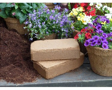 Proflora Kokosziegel Blumenerde torffrei 8l Ziegel verbessert Bodendurchlüftung - 4251232700015