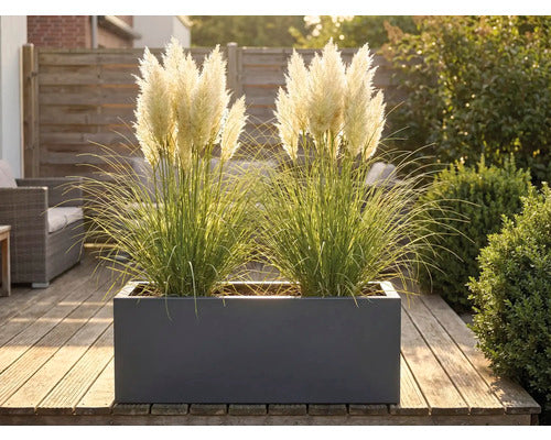 Palatino Pflanzkübel Pflanzgefäß Lotte 240l wetterfest anthrazit 120x40cm - 4260445861420
