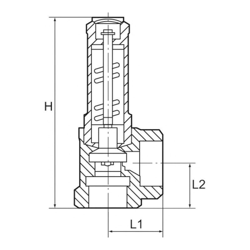 Riegler Eck-Sicherheitsventil G 1 1/4 6 bar für Flüssigkeiten Rotguss Messing - 4047322039611