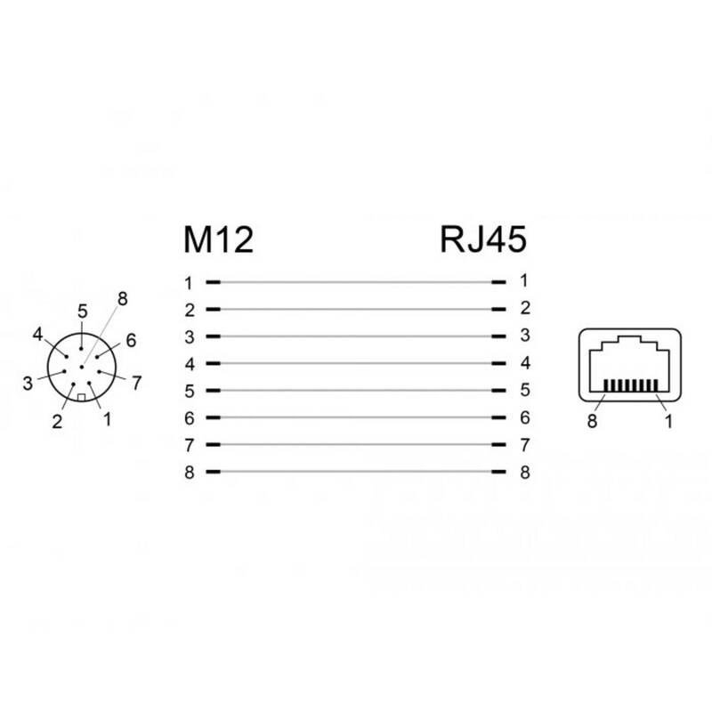Delock M12 RJ45 Netzwerk Adapter Kabel schwarz 1x M12-Buchse 1x RJ45-Buchse - 4043619663149