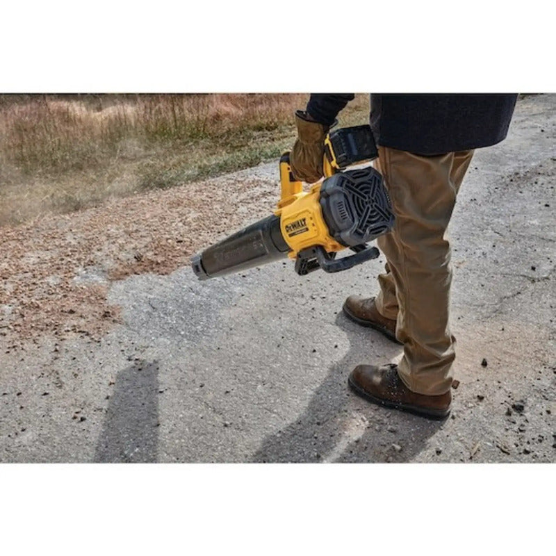DeWalt 1902426 Lithium 18V 5Ah Gartenpflege Handgerät kabellos leicht 1000g - 5035048728062