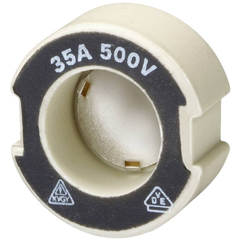 Siemens Passschraube Sicherung DIII 50A 5SH318 25 Stück Hauptsicherungseinsatz - 4001869023939